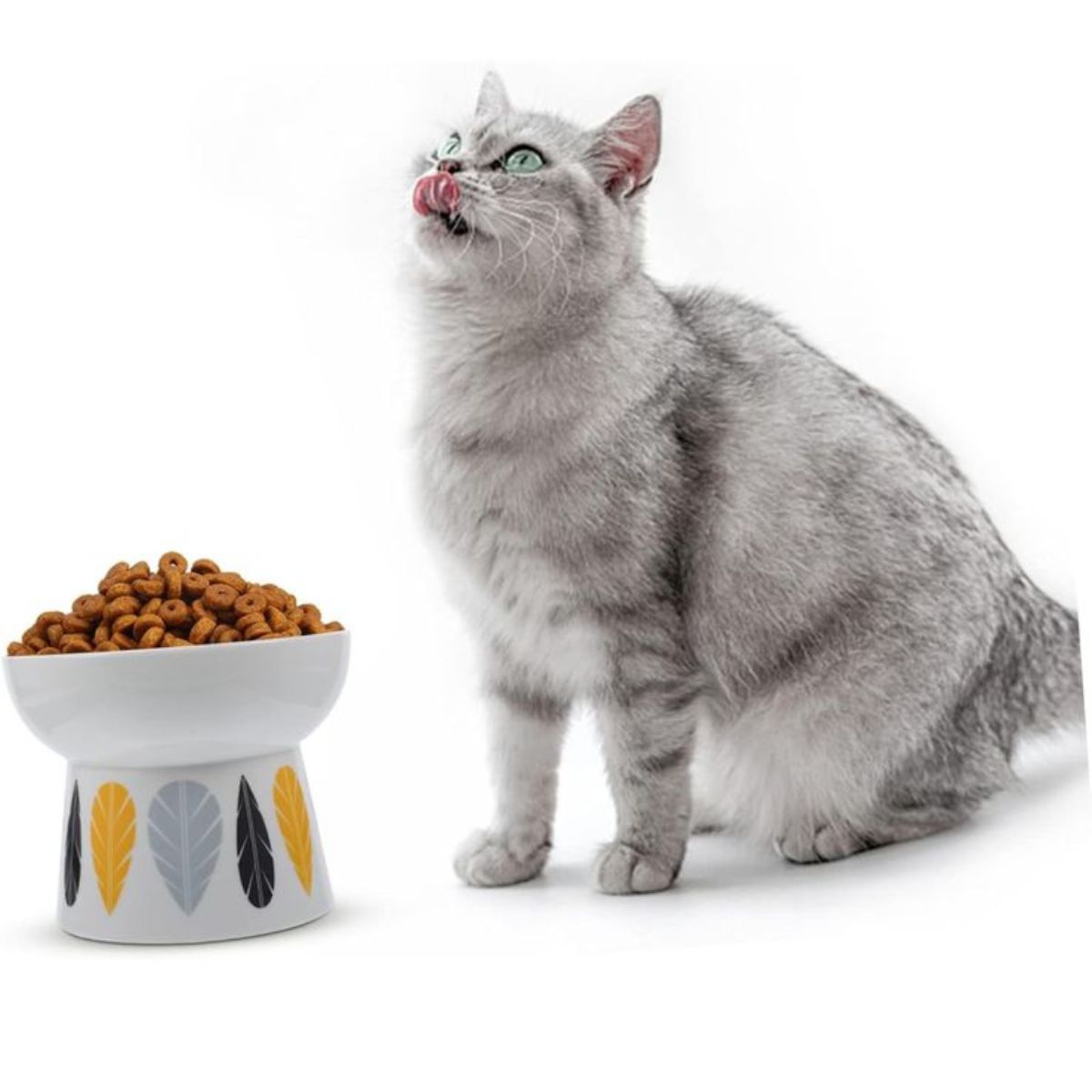 plato cerámico elevado para gatos