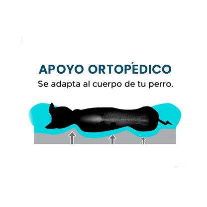 Cama Ortopédica Para Perros Espuma Cebra Con Funda Extraíble Talla M a XL