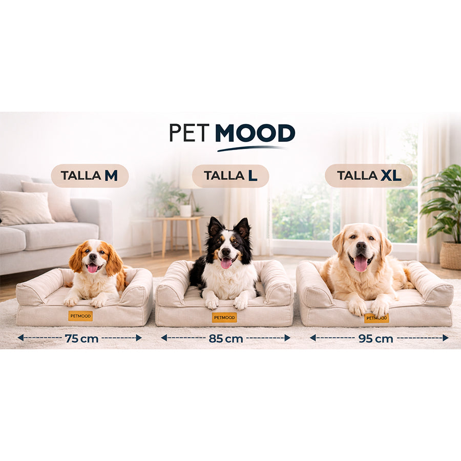 cama para perro ortopédica de verano talla m a xl
