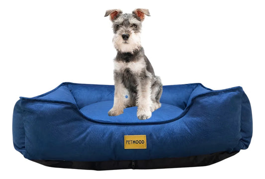 Cama Sofá Perros Pet Mood Antialérgica y Lavable - Tallas M a 3XL