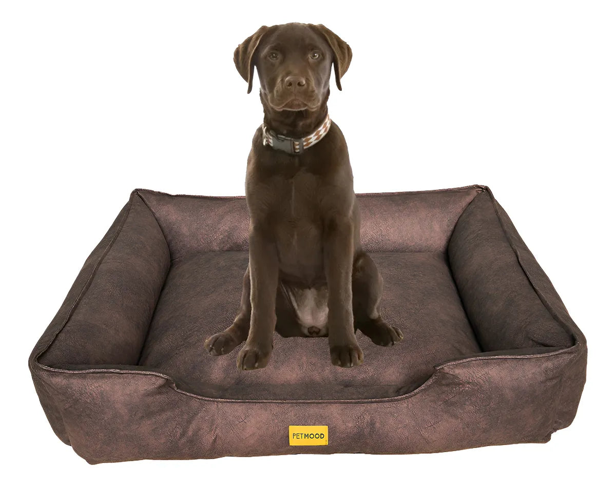 cama sofá perros pet mood antialérgica y lavable - tallas m a 3xl