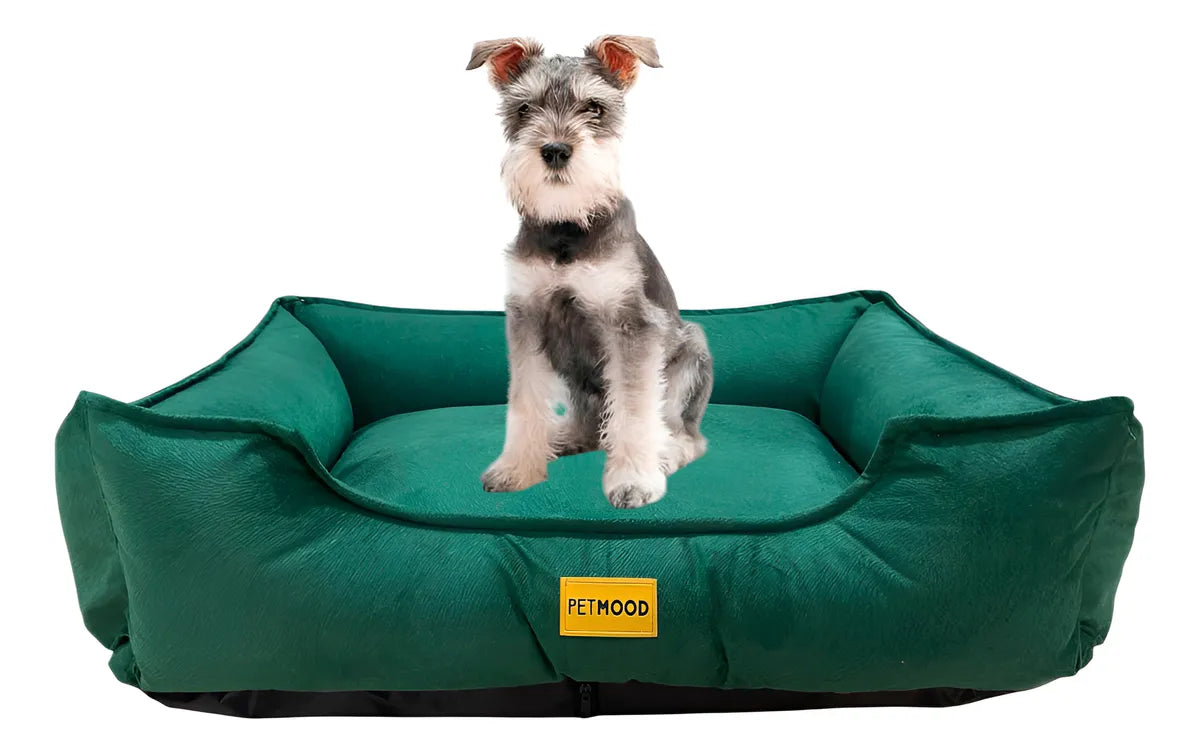 cama sofá perros pet mood antialérgica y lavable - tallas m a 3xl