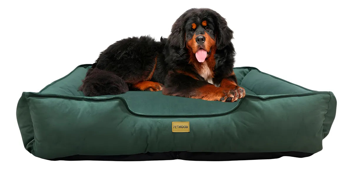 cama sofá perros pet mood antialérgica y lavable - tallas m a 3xl
