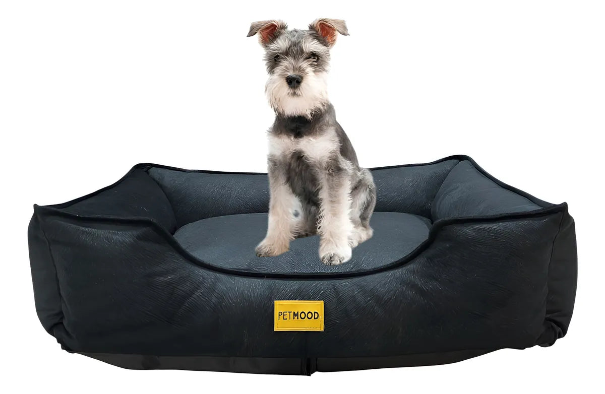 cama sofá perros pet mood antialérgica y lavable - tallas m a 3xl