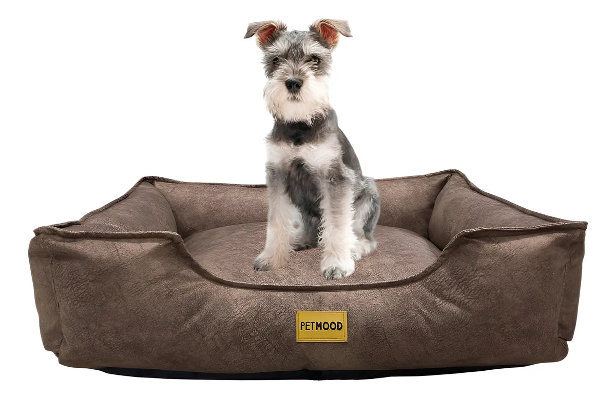 cama sofá perros pet mood antialérgica y lavable - tallas m a 3xl