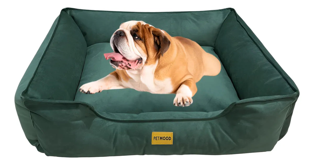 cama sofá perros pet mood antialérgica y lavable - tallas m a 3xl