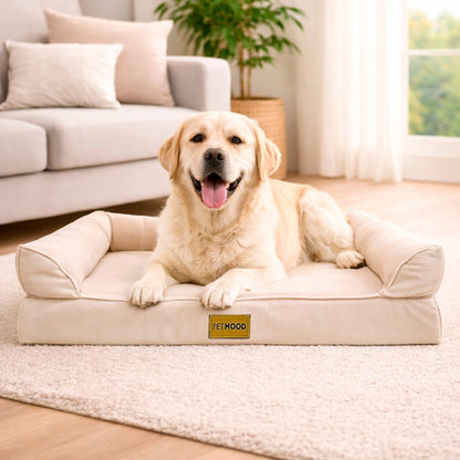 Cama Para Perro Ortopédica De Verano Talla M a XL