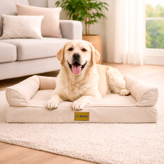 Cama Para Perro Ortopédica De Verano Talla M a XL