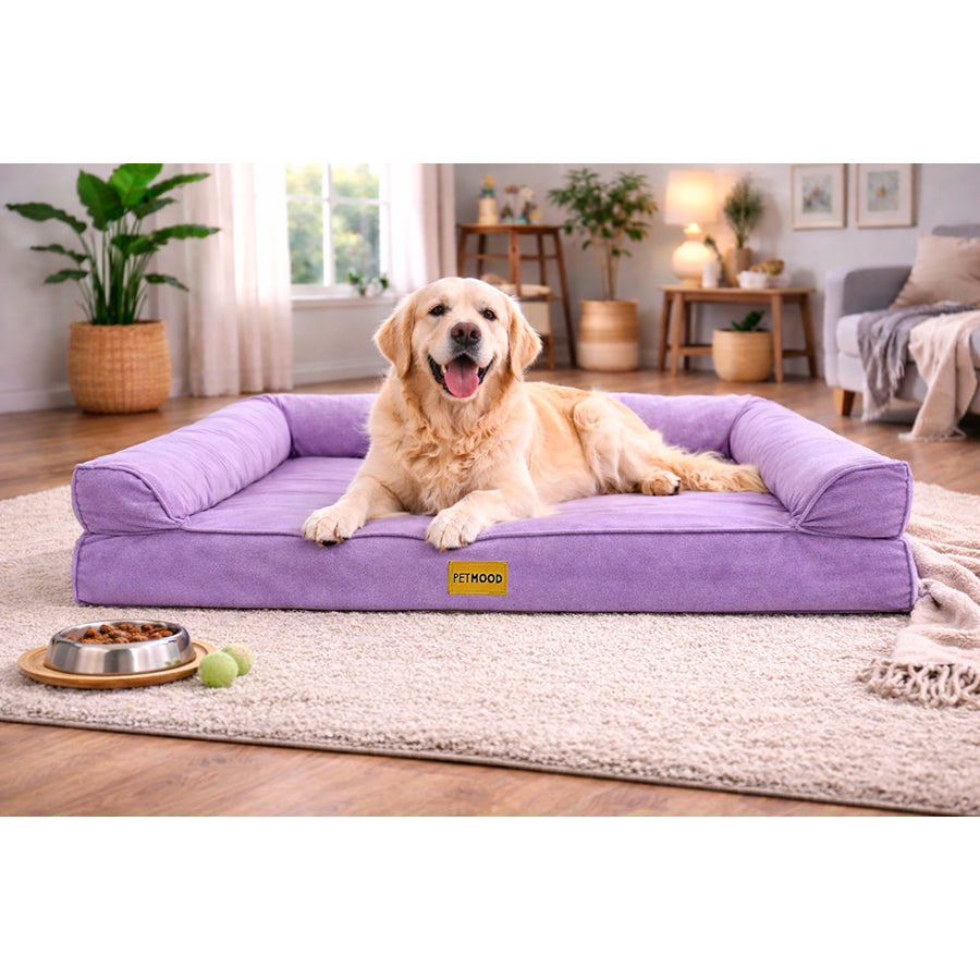 cama para perro ortopédica de verano talla m a xl