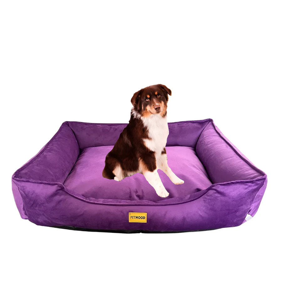 cama sofá perros pet mood antialérgica y lavable - tallas m a 3xl