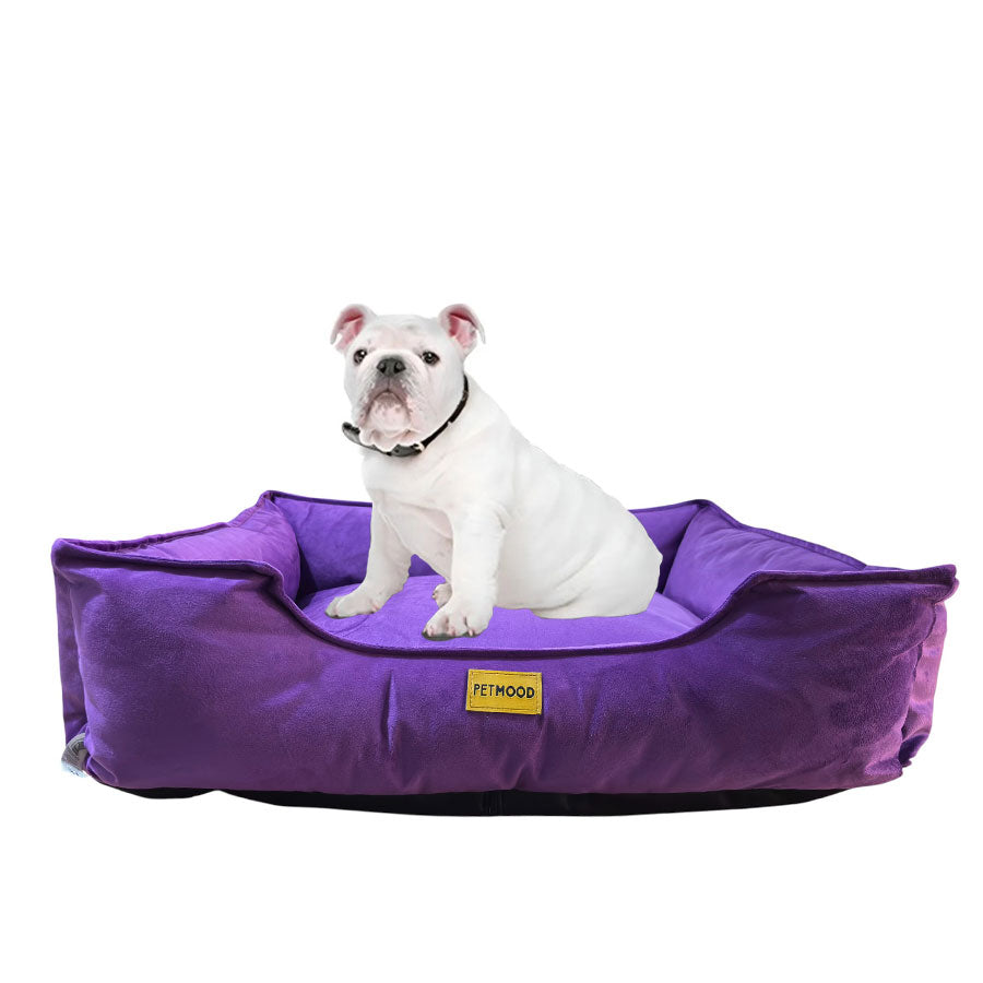 cama sofá perros pet mood antialérgica y lavable - tallas m a 3xl