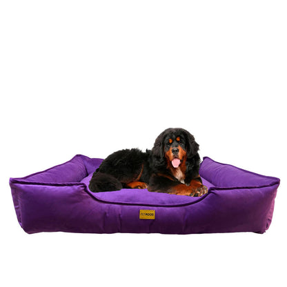 Cama Sofá Perros Pet Mood Antialérgica y Lavable - Tallas M a 3XL