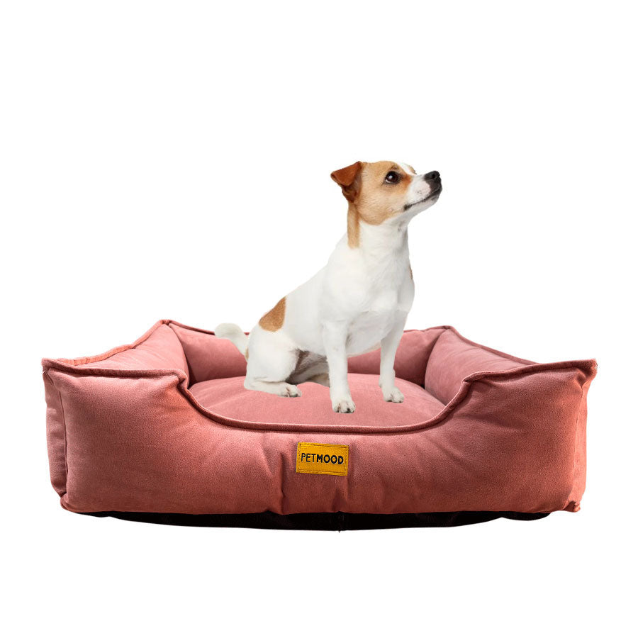 cama sofá perros pet mood antialérgica y lavable - tallas m a 3xl