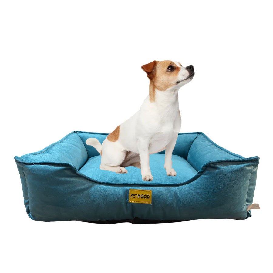 cama sofá perros pet mood antialérgica y lavable - tallas m a 3xl