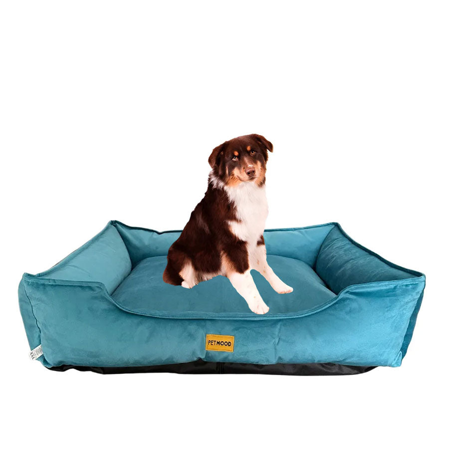 cama sofá perros pet mood antialérgica y lavable - tallas m a 3xl
